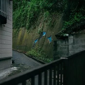路地裏のイルカショー