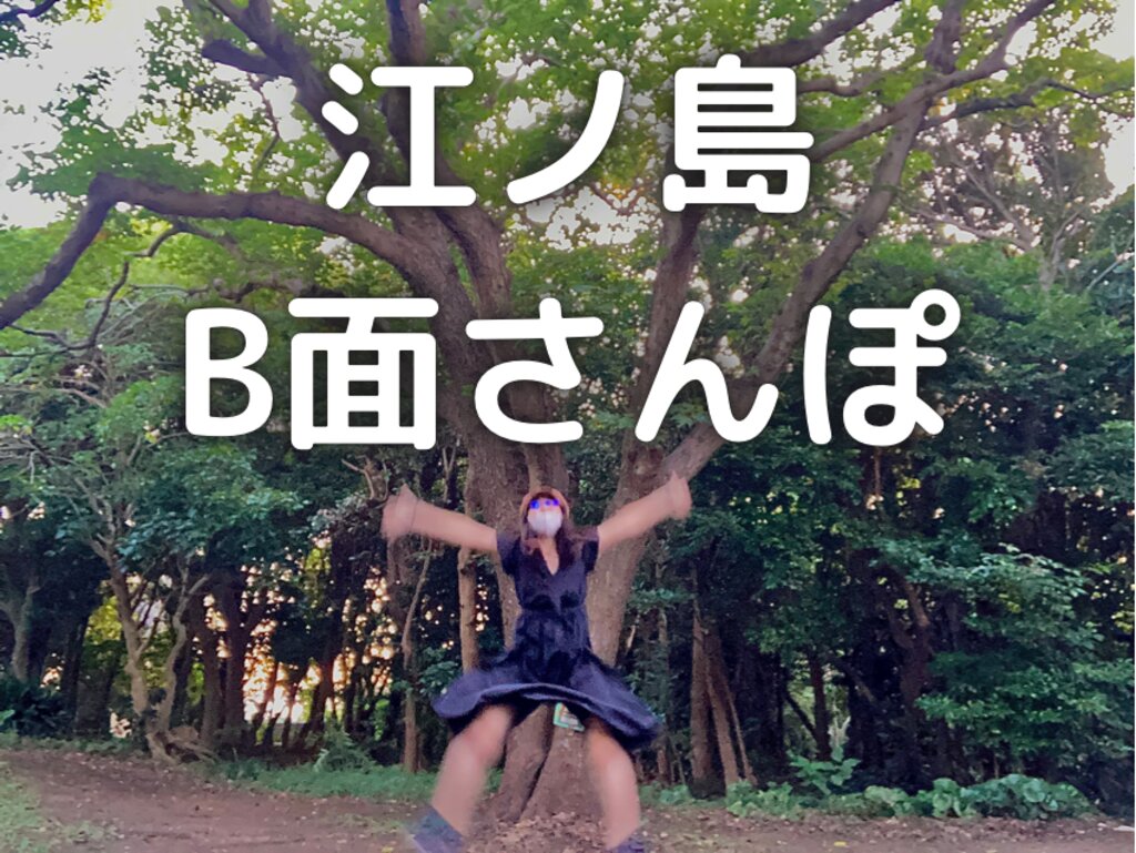 江ノ島B面さんぽ 〜神社もシーキャンドルも出てこない裏側探訪〜｜誰か