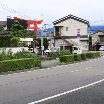 愛媛県は松山市。都市部を少し（ほんとうにほんの少し）離れた場所からお送りしております。