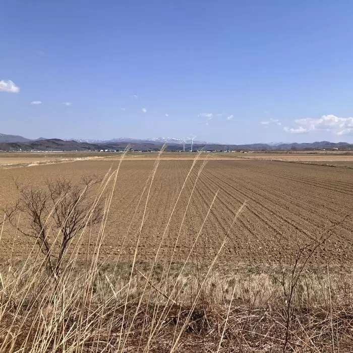 一年だけ、北海道のアイキャッチ画像