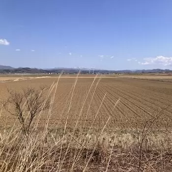 一年だけ、北海道のアイキャッチ画像