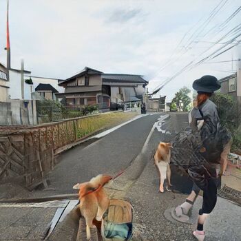 GANで生成した地元の散歩道を犬と歩くのアイキャッチ画像