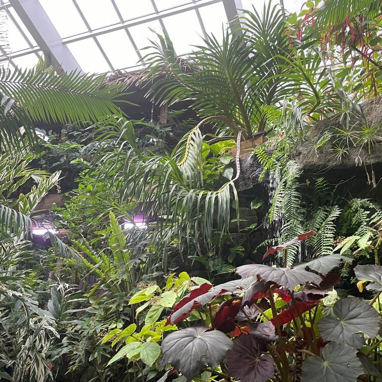 板橋熱帯環境植物館に行ったのアイキャッチ画像