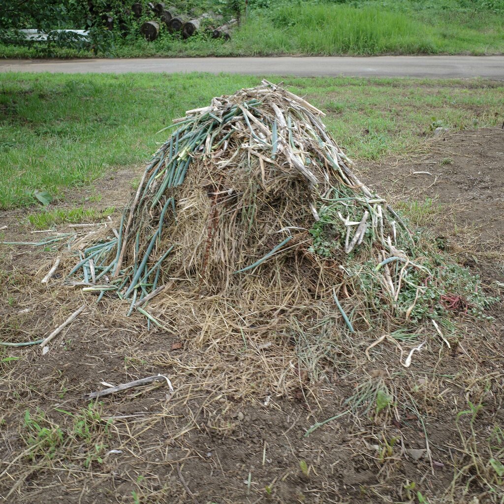 鬼の正体を探るベく 京都と宮城を2日間歩いた ジモトぶらぶらマガジン サンポー