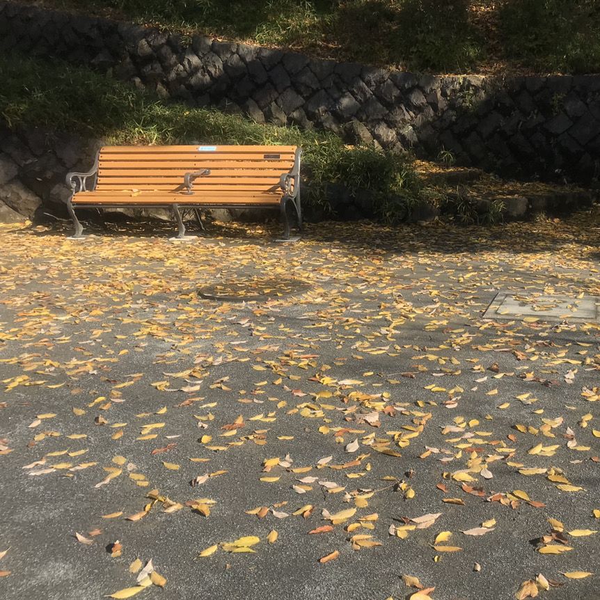 公園ランチのすすめのアイキャッチ画像