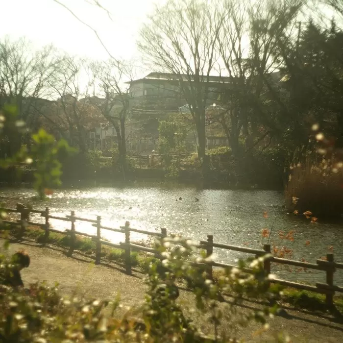 冷戦期ドイツのオールドレンズが写す街：妙蓮寺のアイキャッチ画像