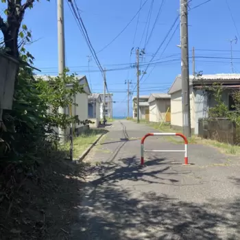 夏よ、さらば！