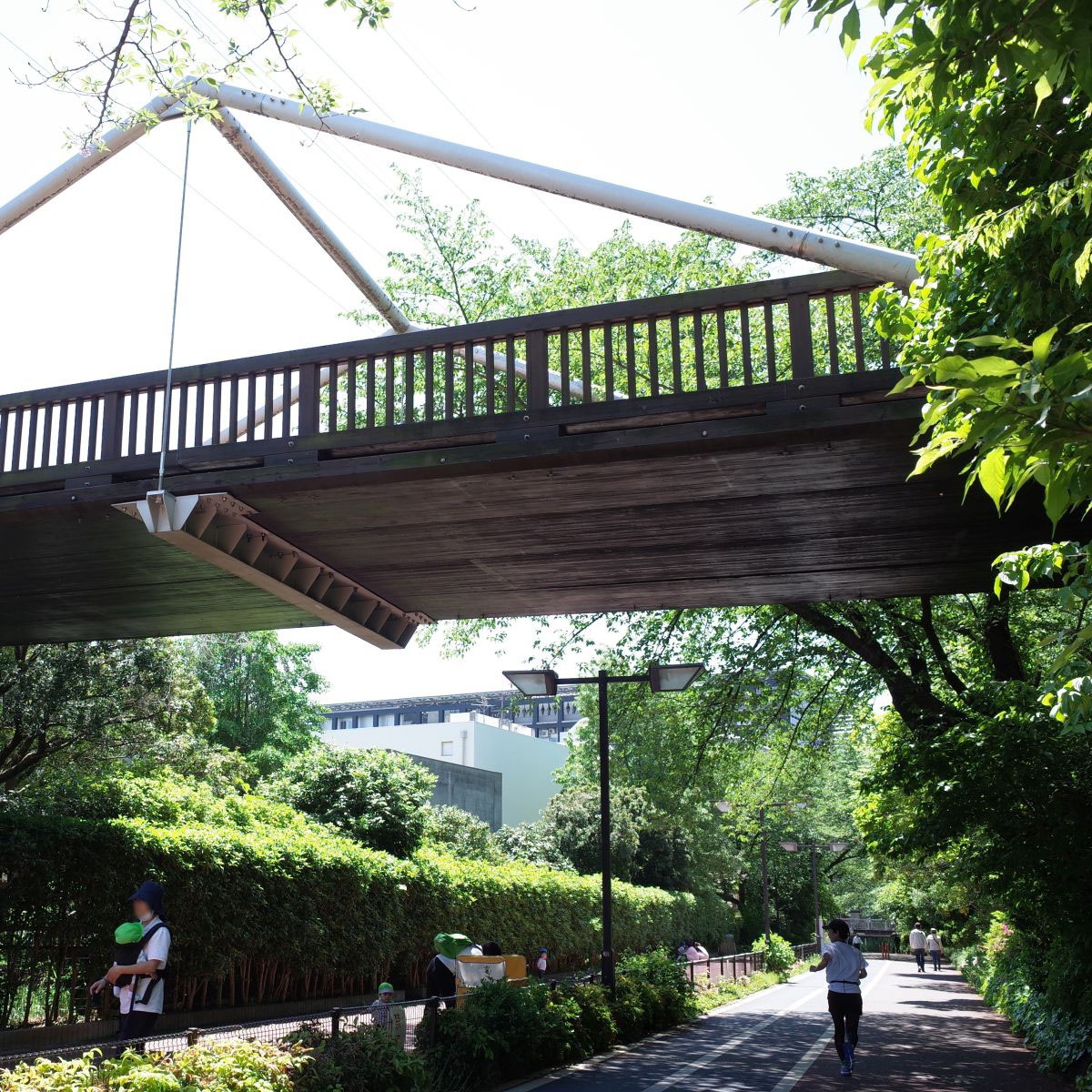呑川緑道にかかる「新しい橋」についてのアイキャッチ画像