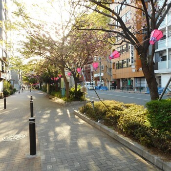 千川通りで「桜台のさくら祭り」は本当にあったのかのアイキャッチ画像