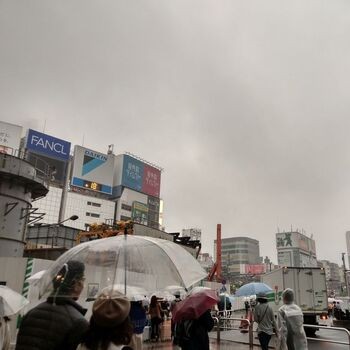 雨の日に新宿駅を散歩しましたのアイキャッチ画像