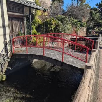 私有橋を何度か見たので