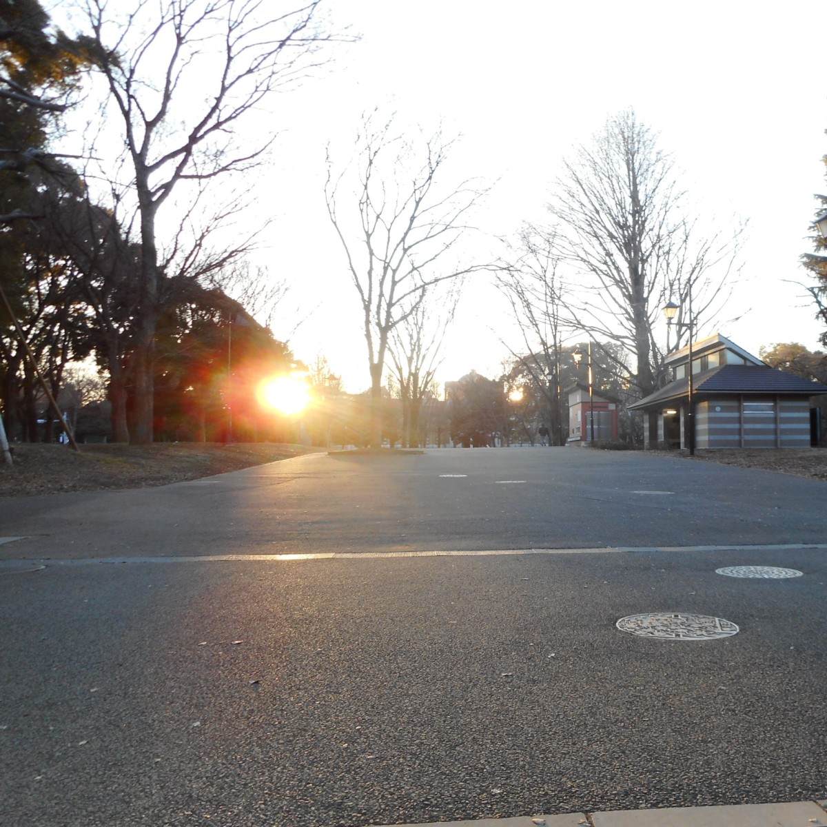 上野恩賜公園で日本伝統文化フェスタは本当にあったのかのアイキャッチ画像