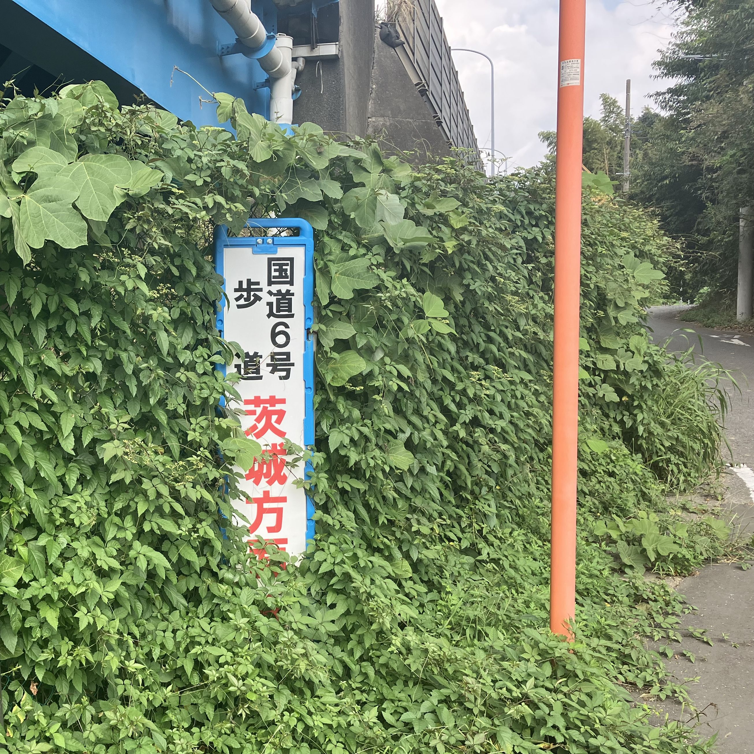 牛久にある日本一のラーメンショップまで東京から徒歩で向かうのアイキャッチ画像