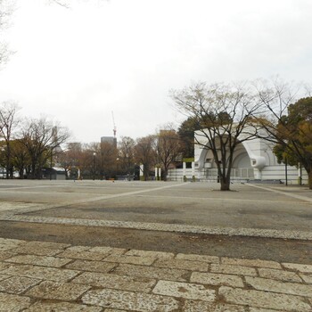 代々木公園で「アイラブアイルランド・フェスティバル」は本当にあったのかのアイキャッチ画像