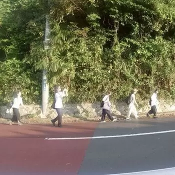 逗子の山には、誰かが断崖絶壁に杭を打って作ったハイキングコース（？）がありました