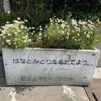 心の岸辺に咲いた赤いスイートピーを探しに岸辺駅へのアイキャッチ画像